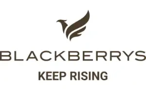 blackberrys